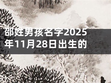 邵姓男孩名字2025年11月28日出生的