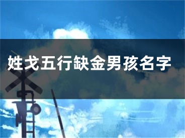 姓戈五行缺金男孩名字