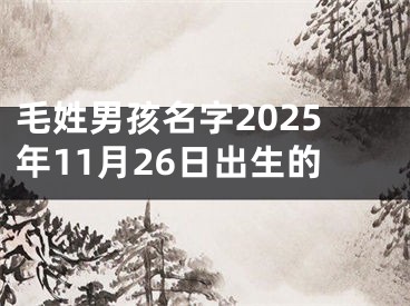 毛姓男孩名字2025年11月26日出生的