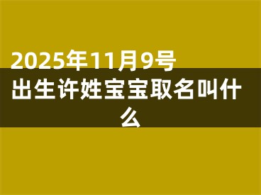 2025年11月9号出生许姓宝宝取名叫什么