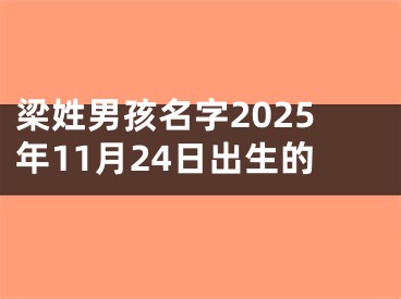 梁姓男孩名字2025年11月24日出生的