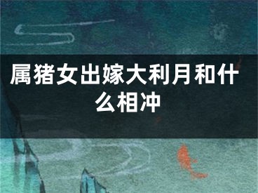 属猪女出嫁大利月和什么相冲