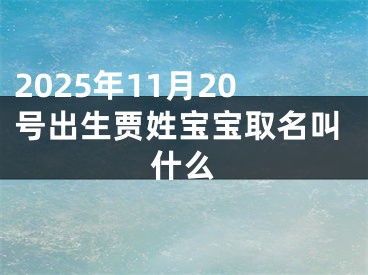 2025年11月20号出生贾姓宝宝取名叫什么