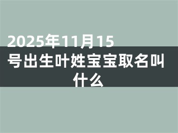 2025年11月15号出生叶姓宝宝取名叫什么