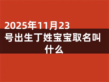 2025年11月23号出生丁姓宝宝取名叫什么