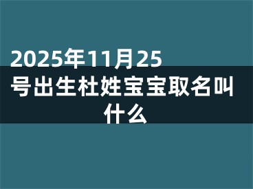 2025年11月25号出生杜姓宝宝取名叫什么
