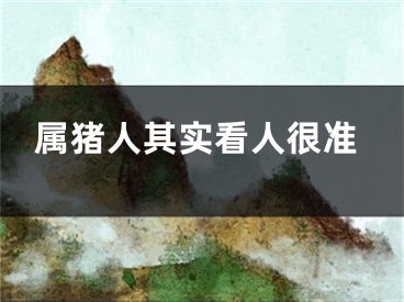 属猪人其实看人很准