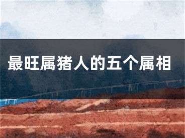 最旺属猪人的五个属相