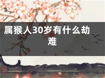 属猴人30岁有什么劫难