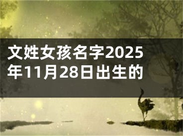 文姓女孩名字2025年11月28日出生的