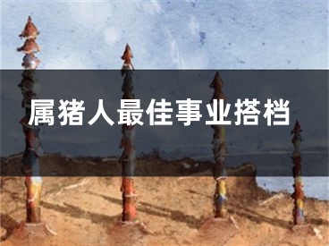 属猪人最佳事业搭档