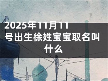 2025年11月11号出生徐姓宝宝取名叫什么