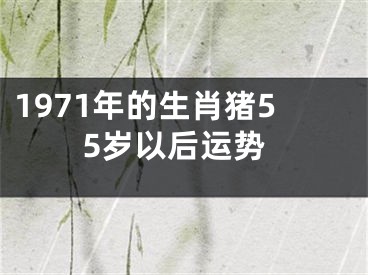 1971年的生肖猪55岁以后运势