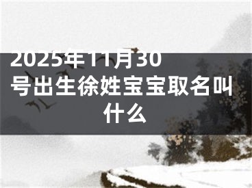 2025年11月30号出生徐姓宝宝取名叫什么