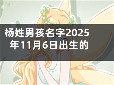 杨姓男孩名字2025年11月6日出生的