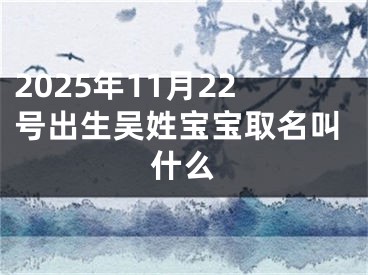 2025年11月22号出生吴姓宝宝取名叫什么