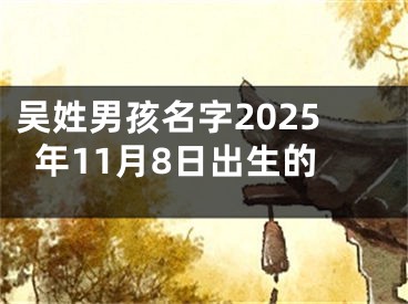 吴姓男孩名字2025年11月8日出生的