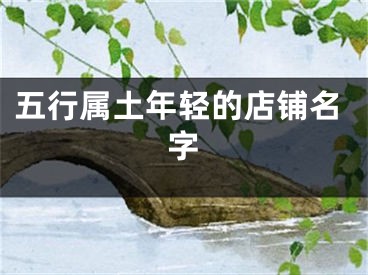 五行属土年轻的店铺名字