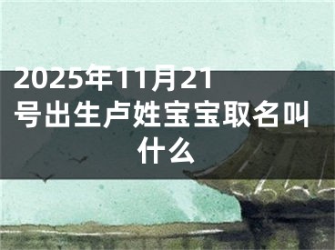 2025年11月21号出生卢姓宝宝取名叫什么
