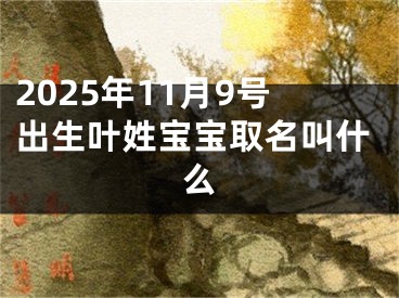 2025年11月9号出生叶姓宝宝取名叫什么
