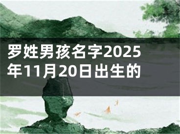 罗姓男孩名字2025年11月20日出生的