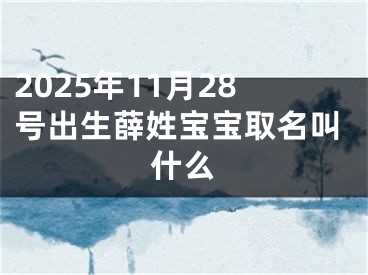 2025年11月28号出生薛姓宝宝取名叫什么