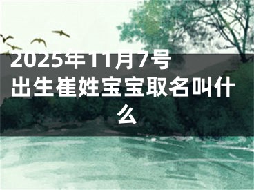 2025年11月7号出生崔姓宝宝取名叫什么