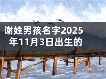 谢姓男孩名字2025年11月3日出生的