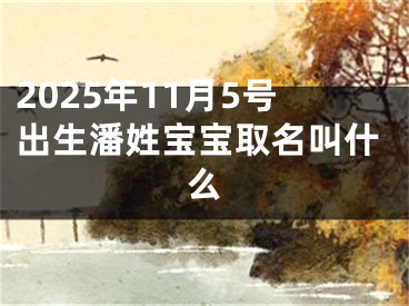2025年11月5号出生潘姓宝宝取名叫什么
