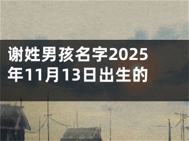 谢姓男孩名字2025年11月13日出生的