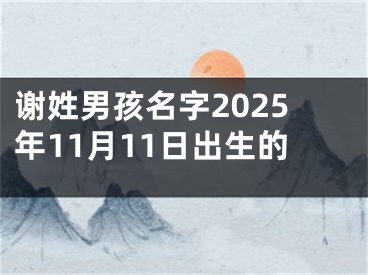 谢姓男孩名字2025年11月11日出生的