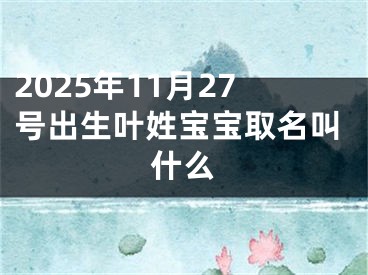 2025年11月27号出生叶姓宝宝取名叫什么