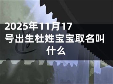2025年11月17号出生杜姓宝宝取名叫什么
