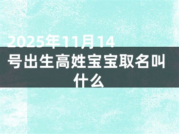 2025年11月14号出生高姓宝宝取名叫什么