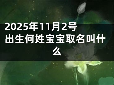 2025年11月2号出生何姓宝宝取名叫什么