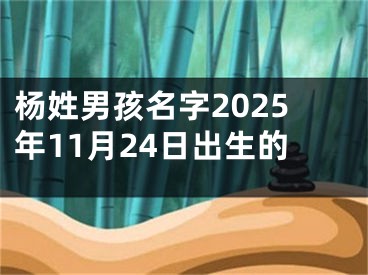 杨姓男孩名字2025年11月24日出生的