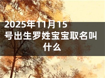 2025年11月15号出生罗姓宝宝取名叫什么