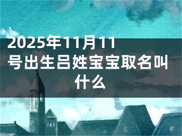 2025年11月11号出生吕姓宝宝取名叫什么