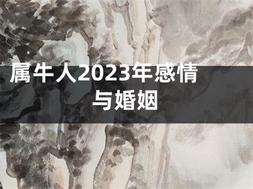 属牛人2023年感情与婚姻