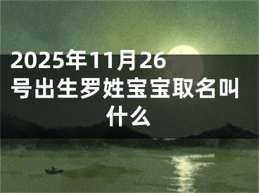 2025年11月26号出生罗姓宝宝取名叫什么