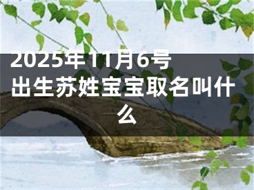 2025年11月6号出生苏姓宝宝取名叫什么