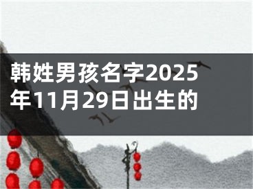 韩姓男孩名字2025年11月29日出生的