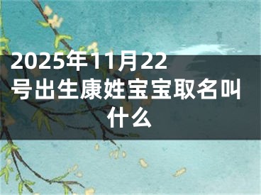 2025年11月22号出生康姓宝宝取名叫什么