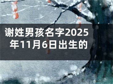 谢姓男孩名字2025年11月6日出生的