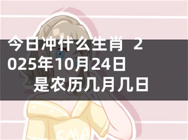 今日冲什么生肖  2025年10月24日是农历几月几日