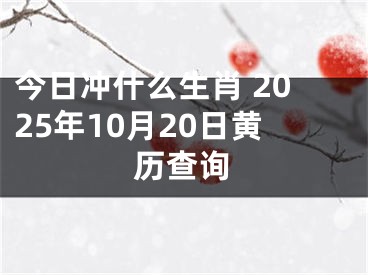 今日冲什么生肖 2025年10月20日黄历查询