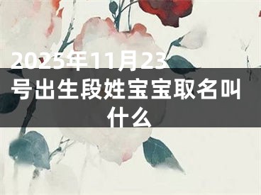 2025年11月23号出生段姓宝宝取名叫什么
