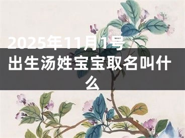 2025年11月1号出生汤姓宝宝取名叫什么