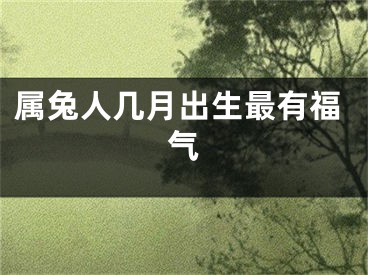 属兔人几月出生最有福气