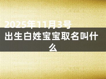 2025年11月3号出生白姓宝宝取名叫什么